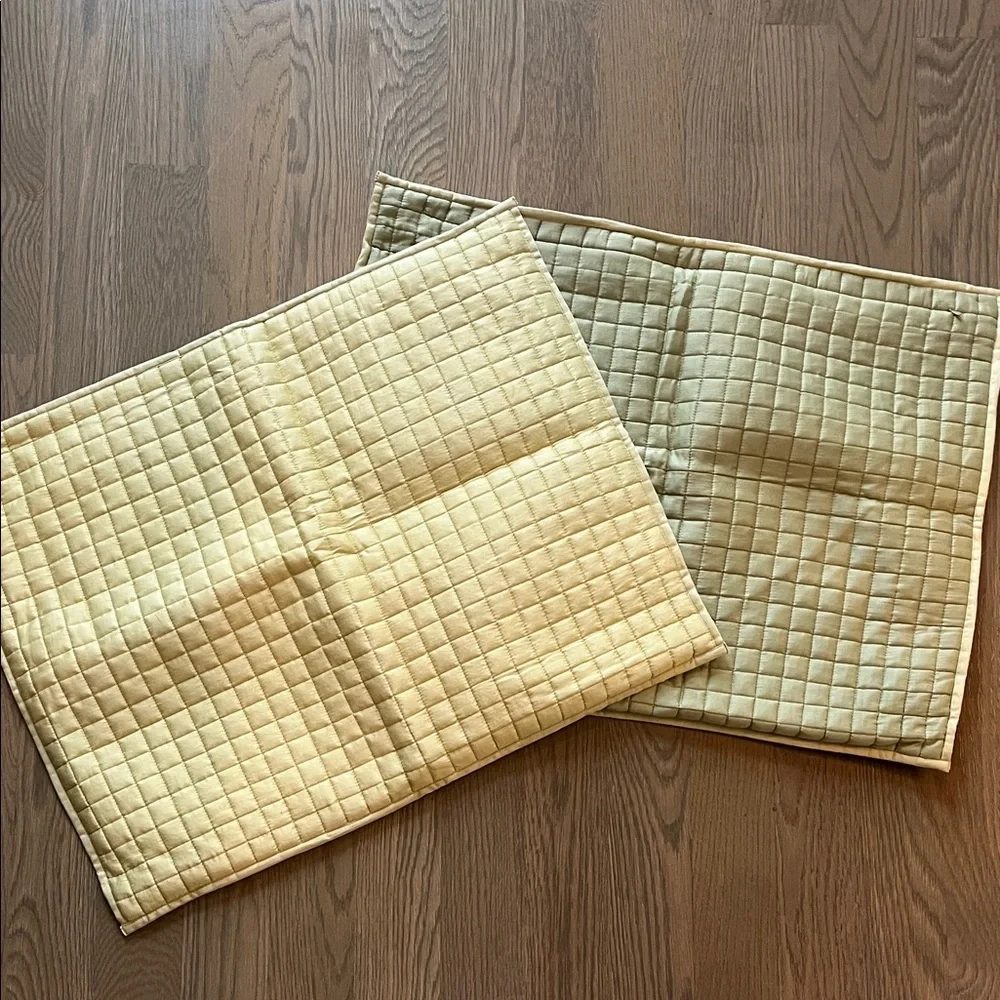 Crate & Barrel Set of Two Quilted Standard Pillow Shams